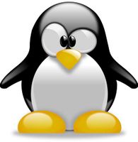Umstellung von Windows zu Linux Sachsen - Tharandt Vorschau