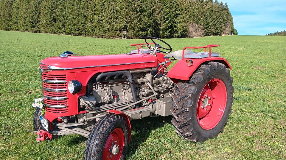 Hürlimann D70 Oldtimer Traktor zu verkaufen in Bubsheim