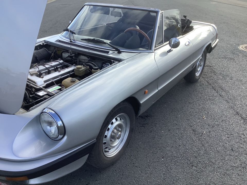 Alfa Romeo Spider 2.0 1983 in Beverstedt