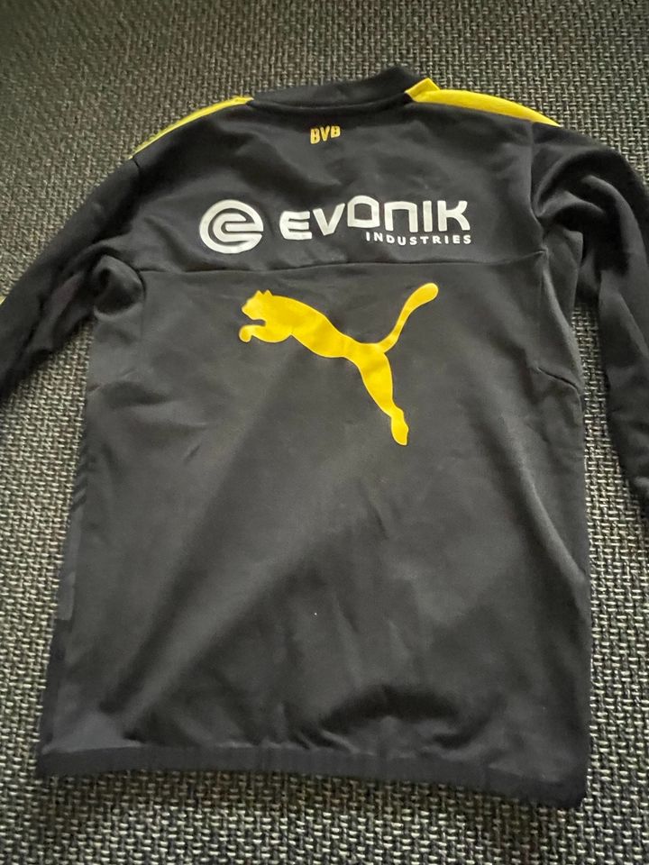 Org. BVB Trikot 140 in Dortmund