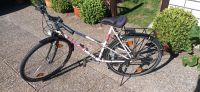 Mountainbike Damenfahrrad 28" 21 Gänge Kettenschaltung Kreis Ostholstein - Sereetz Vorschau