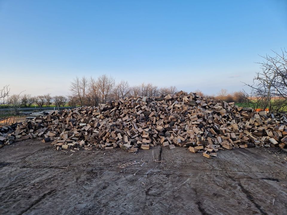Brennholz Kaminholz Eiche  trocken Ofenfertig 25-28cm Scheite in Welbsleben