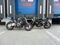 Honda CBR 600 PC 35 Stuntbike Nordrhein-Westfalen - Neuss Vorschau