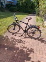 Herren Fahrrad 28 Zoll Niedersachsen - Gifhorn Vorschau