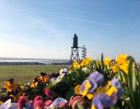 Ferienwohnung Nordsee Nähe Cuxhaven in Spieka Wurster Nordseeküste - Spieka Vorschau