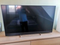 Toshiba LCD Fernseher 49 Zoll Brandenburg - Werder (Havel) Vorschau