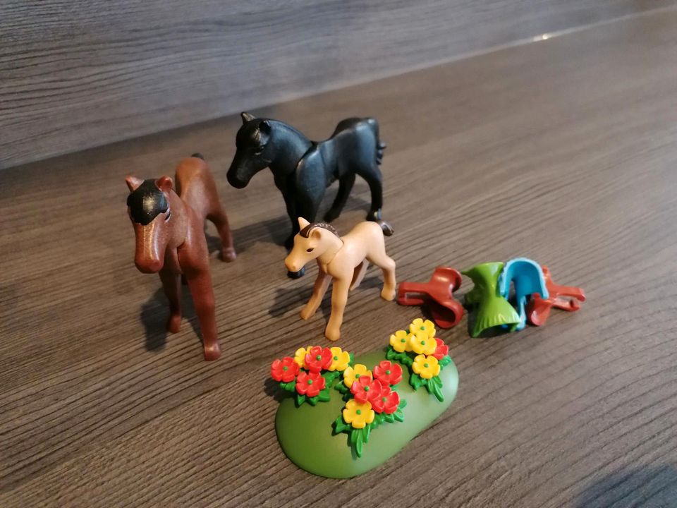 Playmobil Pferdeset *vollständig * in Klipphausen