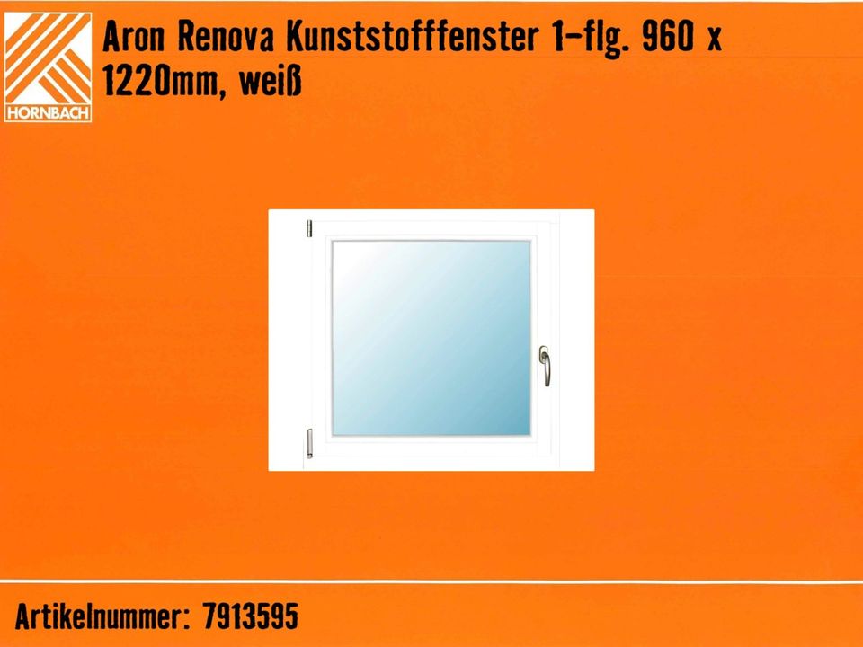 Aron Renova Kunststofffenster 1-flg. 960x1220mm inkl. Griff in Ludwigshafen