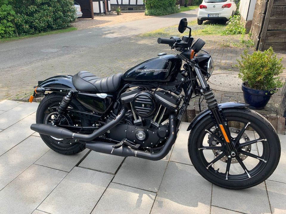Harley-Davidson Sportster Iron XL 883 N in Neunkirchen-Seelscheid