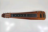 ABM Sentinel Lap Steel E-Gitarre inkl. Tasche München - Trudering-Riem Vorschau