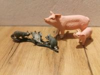 Neu schleich Waschbären Schwein Ferkel Familie mutter kind Bayern - Freilassing Vorschau