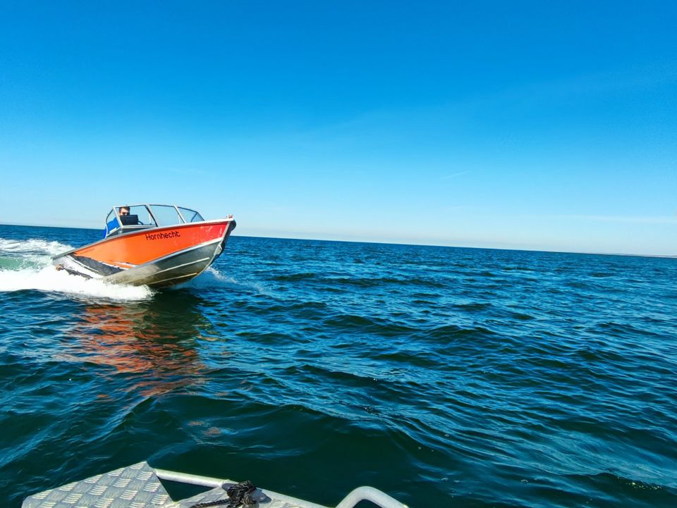 Hornhecht 70PS mit Führerschein Mietboot 4 Stunden Angeln & Fun in Lütjenburg