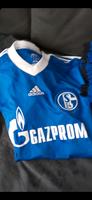 Schalke 04 Heimtrikot Größe l Nordrhein-Westfalen - Gelsenkirchen Vorschau