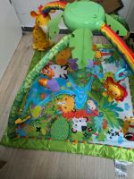 Erlebnisdecke Fisher Price Nordrhein-Westfalen - Bocholt Vorschau