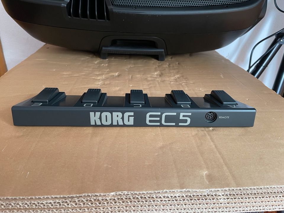 KORG EC5 Pedal / Neu und Original verpackt OVP in Henstedt-Ulzburg