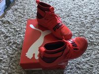 Puma Ignite High ST Sneaker rot schwarz Gr.40,5 UK 7 Modell Flame Nordrhein-Westfalen - Alfter Vorschau