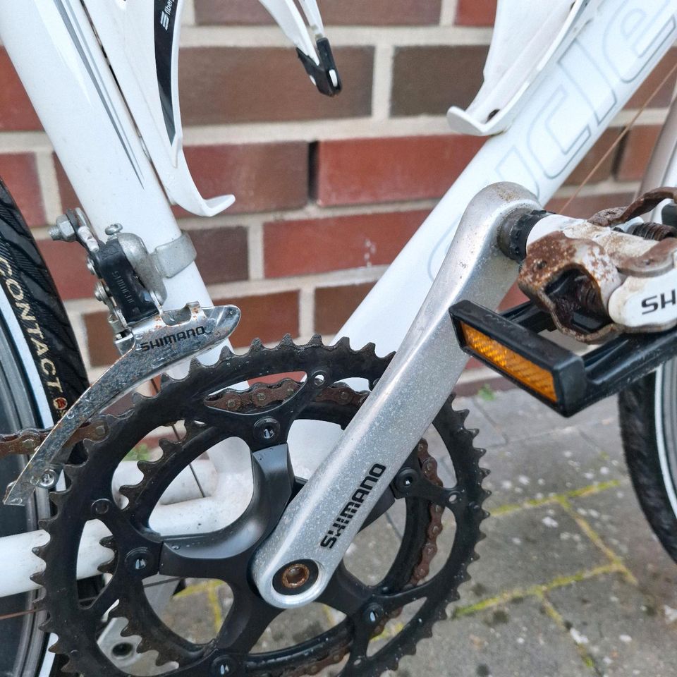 Cycletool Fitness- / Rennrad mit Shimano Tiagra Schaltung in Jork
