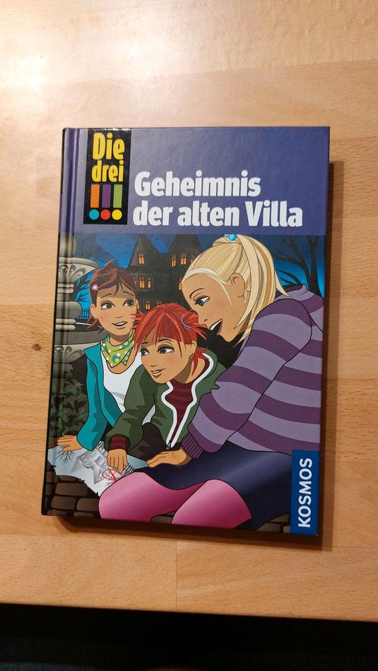 Lesebuch Die drei !!! Geheimnis Der alten Villa in Endingen