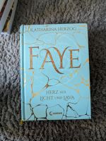 Buch "Faye" Sachsen-Anhalt - Kabelsketal Vorschau