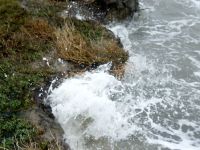 Großes Grundstück bei Kampen / Sylt, Wassergrundstück Sylt - Kampen Vorschau