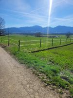 Boxen auf wunderschöner Reitanlage frei Bayern - Sindelsdorf Vorschau