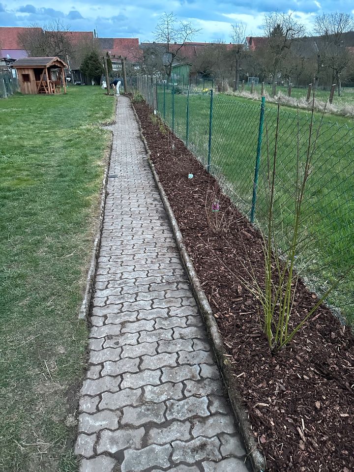 Terrassen Pflastersteine Reinigung Gartenarbeit Gartenpflege in Duderstadt