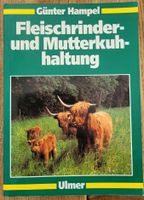 Fleischrinder- und Mutterkuhhaltung Kühe Nutzvieh Zucht Niedersachsen - Wilhelmshaven Vorschau