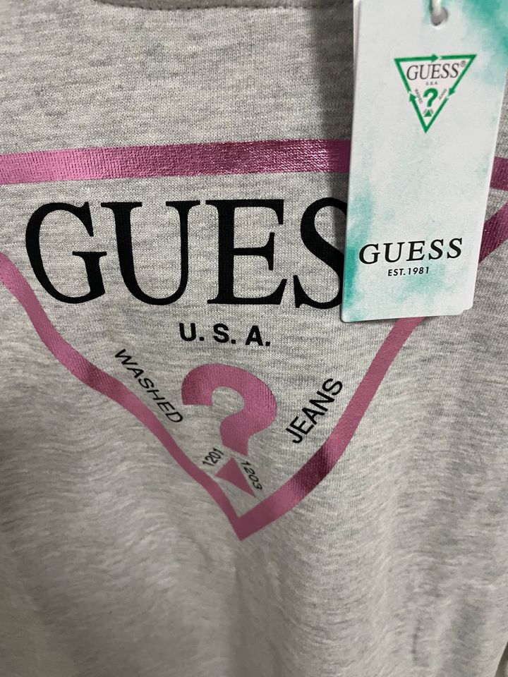 original guess in Hamburg