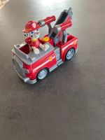 Paw Patrol Marshall Hessen - Münster Vorschau