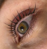 Wimpernlifting Wimpernwelle Aachen - Aachen-Mitte Vorschau