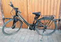 Raleight Richmond HS de Lux 28" Rahmenhöhe 45 Fahrrad Nordrhein-Westfalen - Steinheim Vorschau