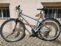 Wheeler Mountainbike 26 Zoll Kinder Jugendliche Fahrrad München - Altstadt-Lehel Vorschau