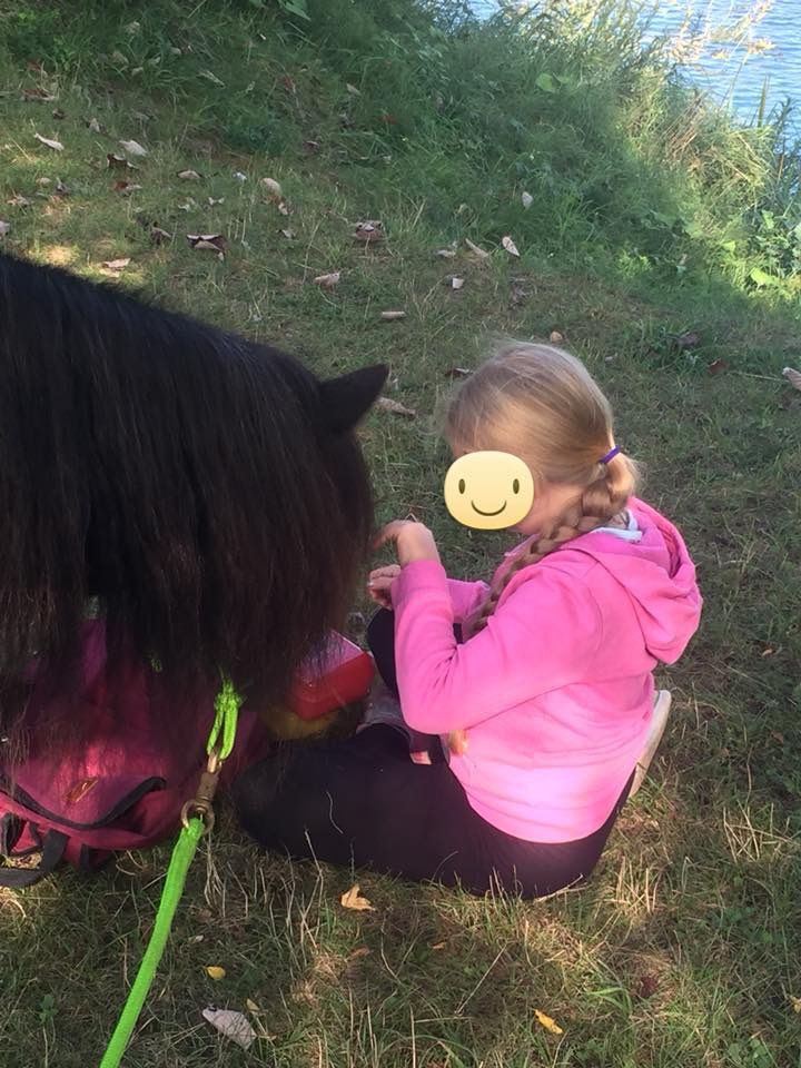 Pädagogisches Pony reiten in Heppenheim (Bergstraße)