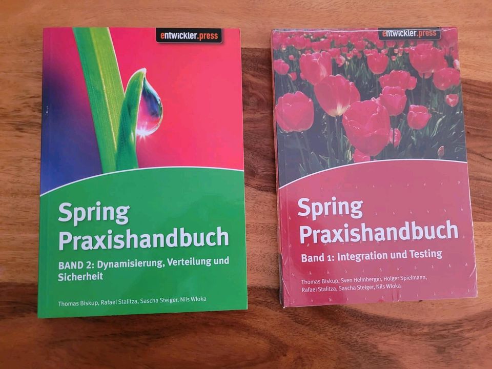 Spring Praxishandbuch in Köln