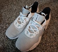 Nike Trainingsschuhe Herren 42 Niedersachsen - Osterholz-Scharmbeck Vorschau
