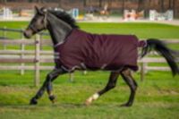 Regendecke Hero + 50g Horseware Pferdedecke, Übergangsdecke, Stalldecke Ripstop Materail robust Neuware  115,125,130,140,145,155,160 NEU Nordrhein-Westfalen - Kempen Vorschau