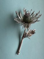 PIRRE Blume aus 925er Silber,Vintage Hannover - Döhren-Wülfel Vorschau