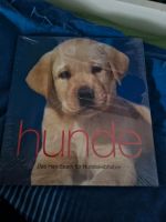 Hunde, das Handbuch für Hundeliebhaber NEU! Stuttgart - Mühlhausen Vorschau