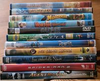 11 DVDs, Kinder-Jugend_Madagaskar, Cars, Spiderman2, Nanny, Kerle Huchting - Mittelshuchting Vorschau