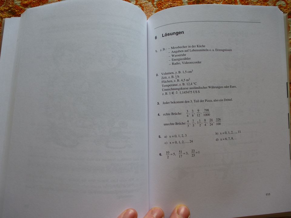 Buch: Training Mathematik, Bruchzahlen und Dezimalbrüche in Velden