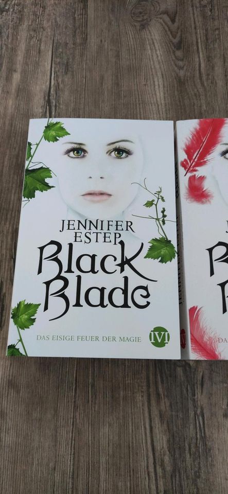 Bücher Black Blade von Jennifer Estep in Villingen-Schwenningen