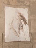 Bild im Rahmen Natur Deko 50x70cm Gras beige Schwerin - Altstadt Vorschau