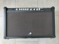 Riot Sonic 120C Gitarrenverstärker Transistor Schleswig-Holstein - Preetz Vorschau