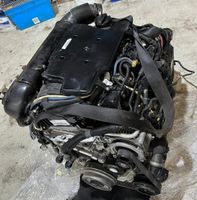 BMW Original Motor B47 Diesel  Baijahr 2012-2018 F25 F39 F40 F45 Berlin - Lichtenberg Vorschau