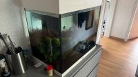 Juwel Aquarium inkl. Bepflanzung Nordrhein-Westfalen - Oelde Vorschau