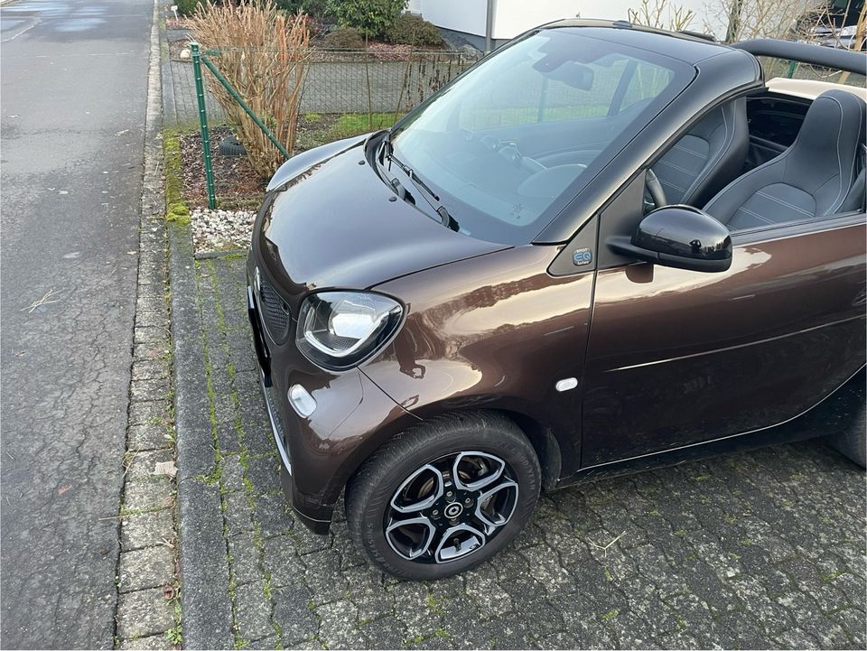 Smart EQ Sondermodell *Mercedes-GARANTIE* in Steimel