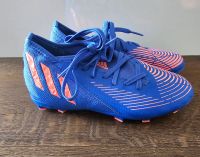 Adidas Predator Fußballschuhe Größe 33 Hessen - Viernheim Vorschau