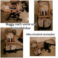 Kinderwagen /Buggy 3 in 1 von ABC Design mit viel Zubehör Sachsen - Treuen Vorschau