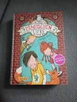 Die Schule der magischen Tiere Buch Berlin - Marzahn Vorschau