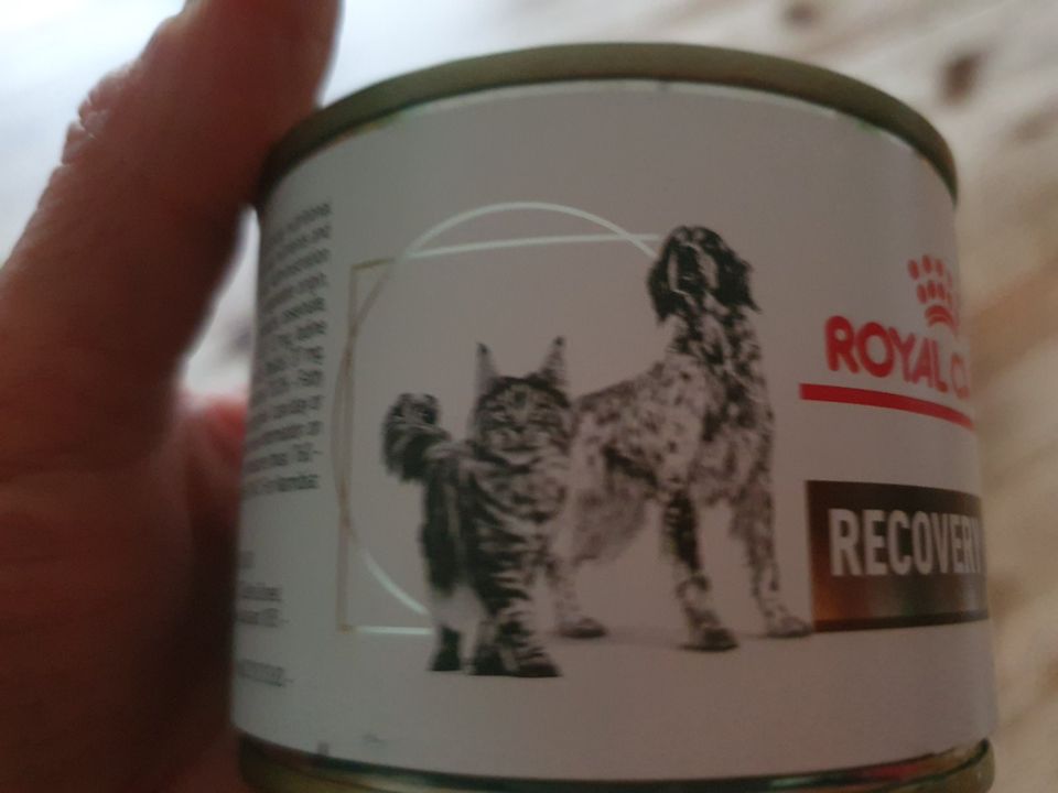 Verkaufe "Recovery- ultra soft mousse"-Futter von Royal Canin in Tübingen